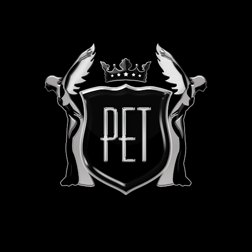 Platinum Executive Travel