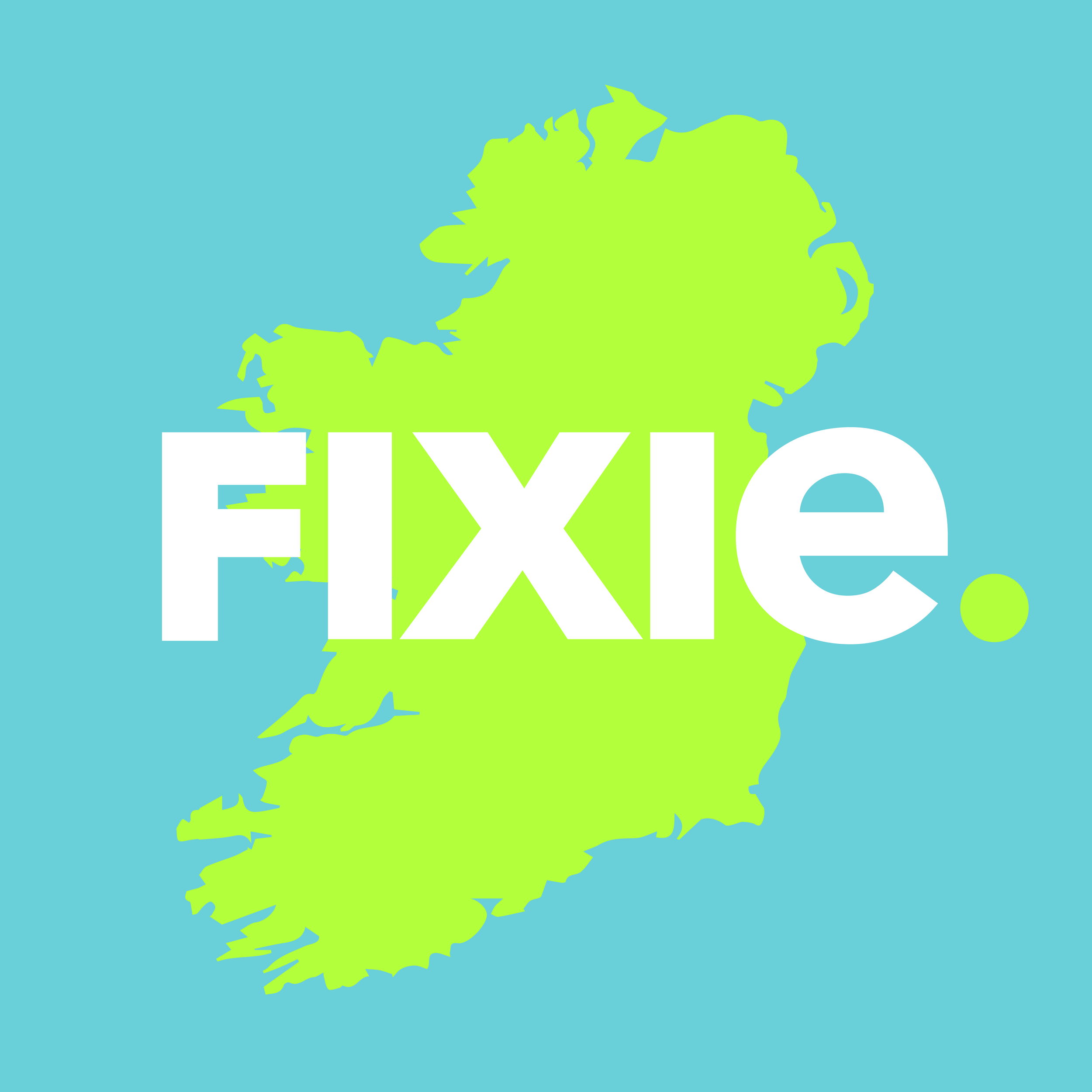 FIXIE 3D